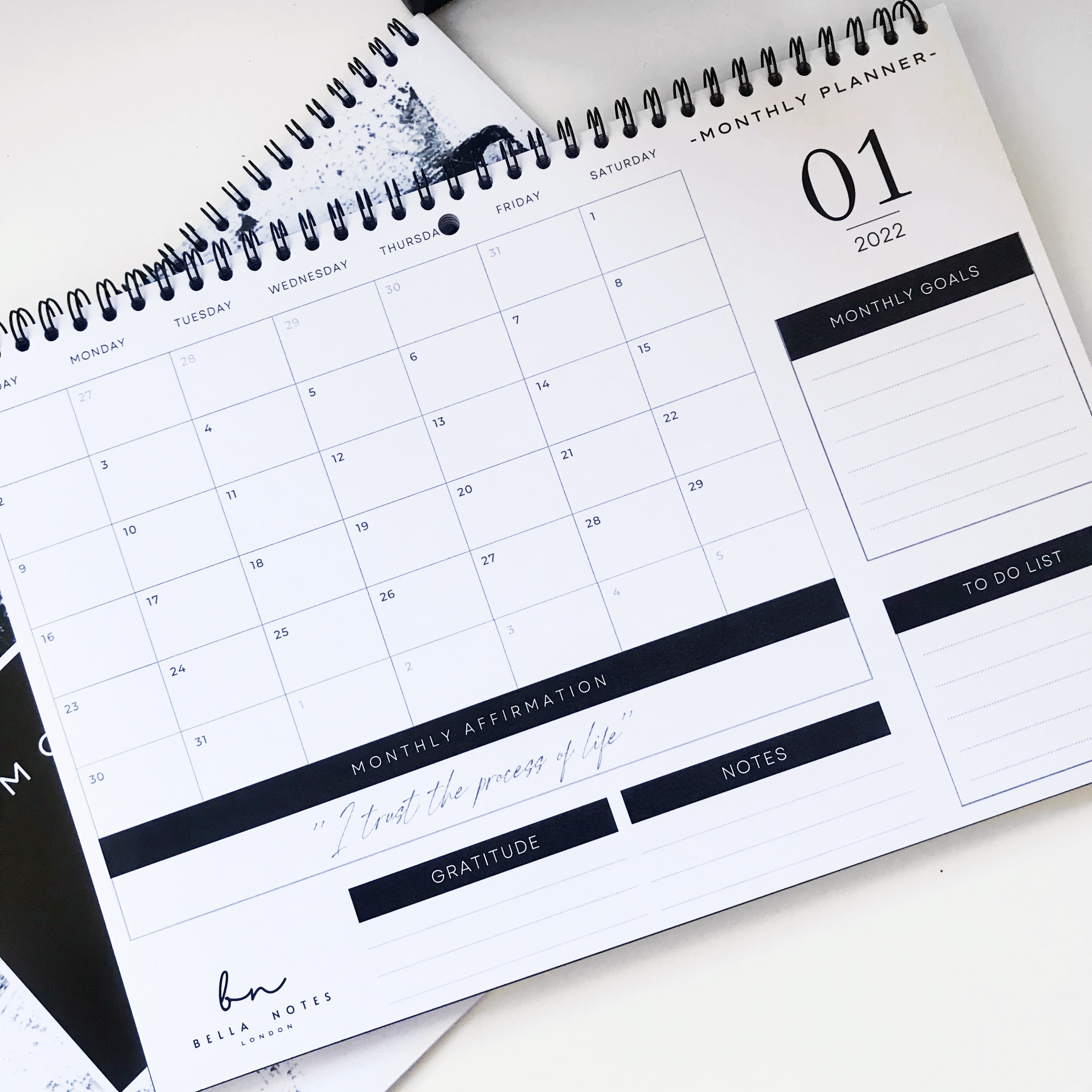 Mono Paint Monthly Planner 2022